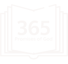 365 Logo